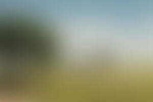 Фотография городского квеста Царское Село от компании Fresh Quest (Фото 1)